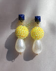 Royal Angelfish Earrings
