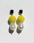 Royal Angelfish Earrings